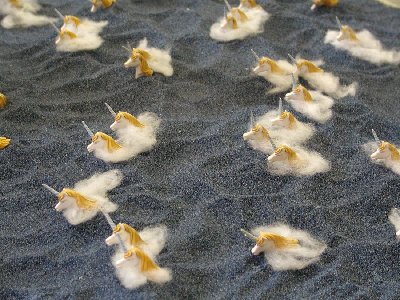 Das letzte Einhorn3.jpg