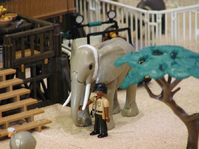 Afrika Daktari06.jpg
