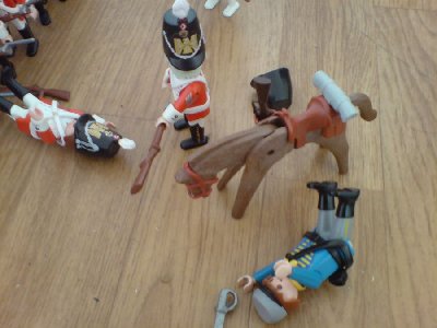 DSC01501.JPG (71.75 KiB) 1123 mal betrachtet "Hochmut kommt vor dem Fall!"