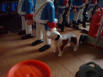 DSC02268.JPG (71.57 KiB) 1117 mal betrachtet "Der kleine Freund hier unten ist unsere Schiffshündin Antje. Sie apportiert hervorragend, wenn das auf hoher See auch etwas schwierig werden wird."