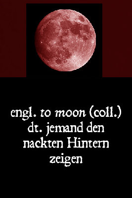 regatta.33.jpg (43.05 KiB) 2531 mal betrachtet regatta.33.jpg