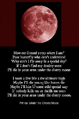 regatta.34.jpg (61.35 KiB) 2536 mal betrachtet regatta.34.jpg