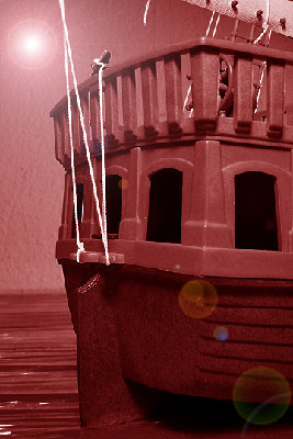 regatta.28.jpg