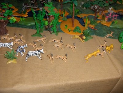 OHZ 2009 036.jpg