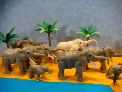 01 024.jpg (136.32 KiB) 1383 mal betrachtet 01 024.jpg