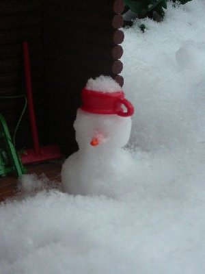 Bild-9b.JPG (51.65 KiB) 596 mal betrachtet Bild-9b.JPG