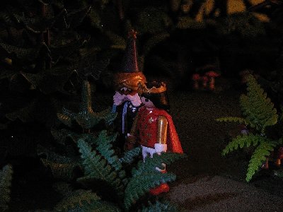 49 Orakel  Sie verstecken.jpg