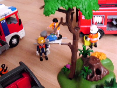 DSCI0331.JPG (144.05 KiB) 1368 mal betrachtet Herr Krause sieht das ein Baum sehr instabil ist und aufeinmal
