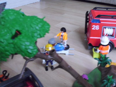 DSCI0333.JPG (127.55 KiB) 1185 mal betrachtet DSCI0333.JPG