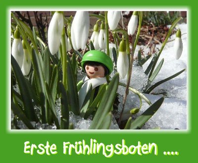 Schneeglockchen.jpg (115.9 KiB) 31394 mal betrachtet Schneeglockchen.jpg