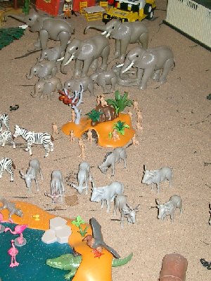 CIMG5380.JPG (177.38 KiB) 1104 mal betrachtet CIMG5380.JPG