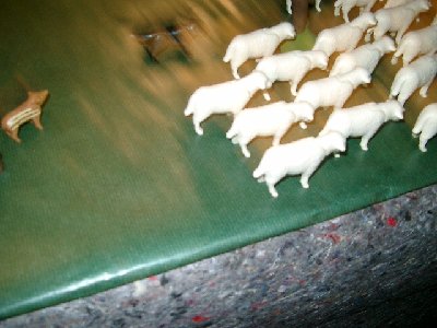 CIMG5399.JPG (175.01 KiB) 1094 mal betrachtet CIMG5399.JPG