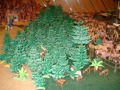 CIMG5410.JPG (178.59 KiB) 1107 mal betrachtet CIMG5410.JPG