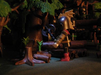 132 Holz machen.jpg (133.34 KiB) 592 mal betrachtet 132 Holz machen.jpg