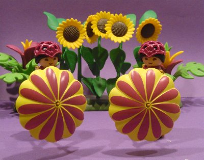 Blumenfrauen 3.jpg