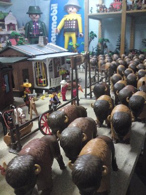 Playmobil-Cora-usw 028.JPG