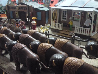 Playmobil-Cora-usw 030.JPG