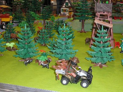 Wald_6.jpg