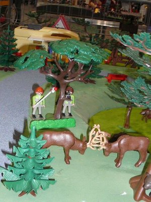 Wald_9.jpg