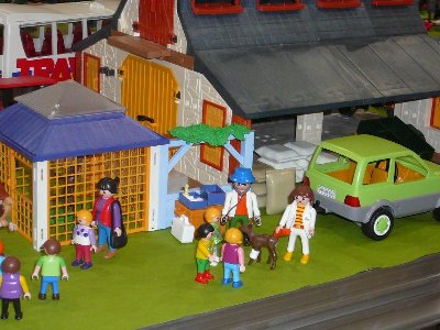 Wald_11.jpg