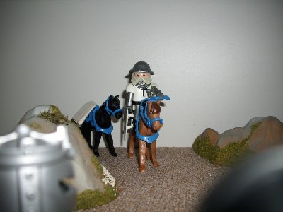 15.JPG