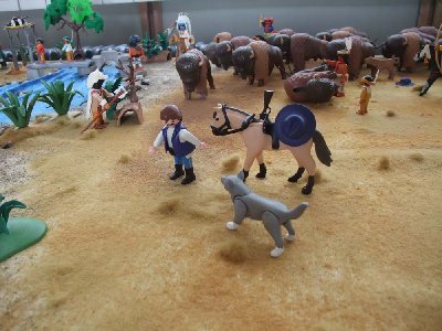 Dio Binsi 09.jpg (129.88 KiB) 2064 mal betrachtet Dank Socke wird John Dunbar zu Der-mit-dem-Wolf-tanzt.
