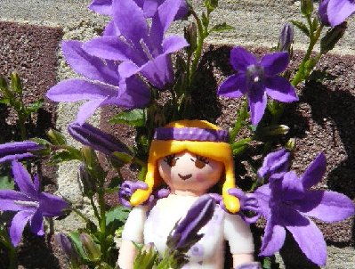 Bluetenfee4.jpg (140.57 KiB) 30806 mal betrachtet Bluetenfee4.jpg