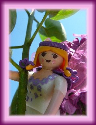 Bluetenfee.jpg (84.21 KiB) 30791 mal betrachtet Bluetenfee.jpg