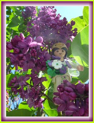 Bluetenfee2.jpg (157.24 KiB) 31400 mal betrachtet Bluetenfee2.jpg