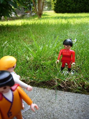 P1060173.JPG (186.33 KiB) 1205 mal betrachtet P1060173.JPG