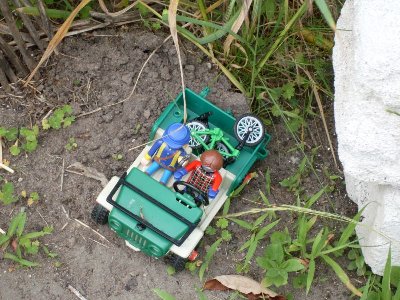 z26.jpg (149.5 KiB) 1195 mal betrachtet &quot; endlich frei, ich hasse spinat&quot;<br />&quot;Hähh, Spinat?&quot;<br />Na, Krünzeugs eben!&quot;