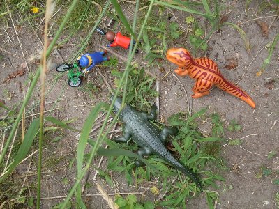 z29.jpg (166.13 KiB) 972 mal betrachtet z29.jpg