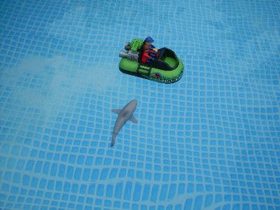 z61.jpg (98.03 KiB) 821 mal betrachtet z61.jpg