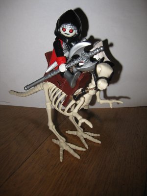 img_1852_klein.jpg