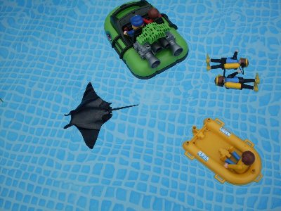 z63.jpg (101.97 KiB) 817 mal betrachtet z63.jpg