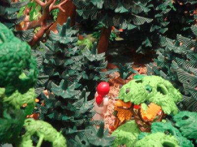 DSC01410.JPG (151.64 KiB) 2743 mal betrachtet DSC01410.JPG