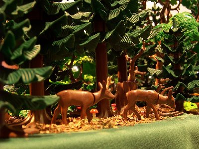 100_5934.JPG