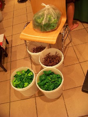 100_6030.JPG