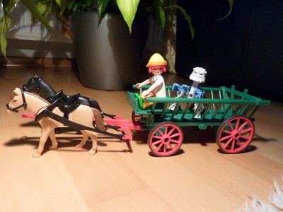 P1020109a.jpg