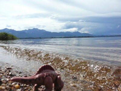 Chiemsee-Dino.jpg