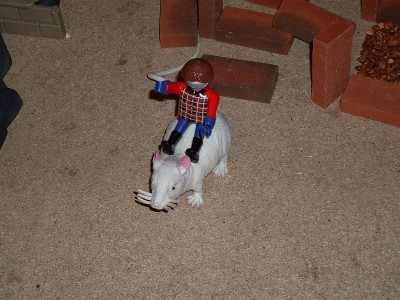 z20.jpg (144.4 KiB) 642 mal betrachtet z20.jpg