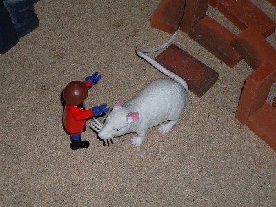 z19.jpg (144.74 KiB) 621 mal betrachtet z19.jpg