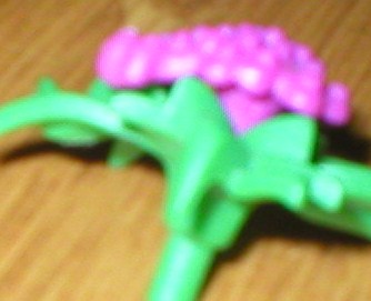P1013859.JPG