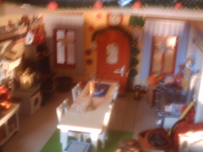 IMG_0009_400_300.jpg