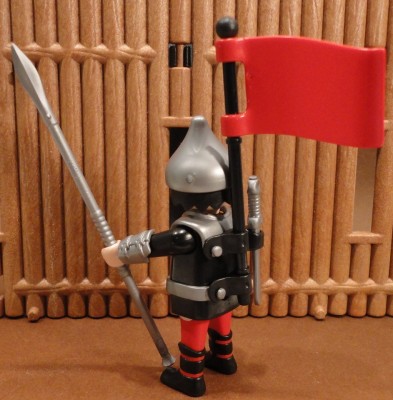 Ashigaru back.jpg