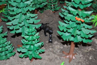 Detail II.JPG (179.29 KiB) 2933 mal betrachtet Detail II.JPG