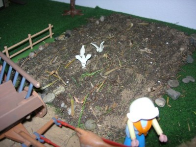 Kopie van DSCN1558.JPG (66 KiB) 2550 mal betrachtet Kopie van DSCN1558.JPG