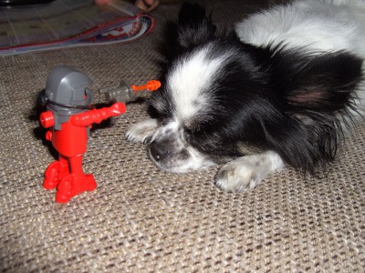 BILD0631.jpg (123.9 KiB) 681 mal betrachtet BILD0631.jpg