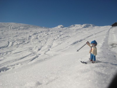 schifoan3.jpg