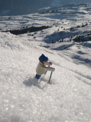 schifoan2.jpg